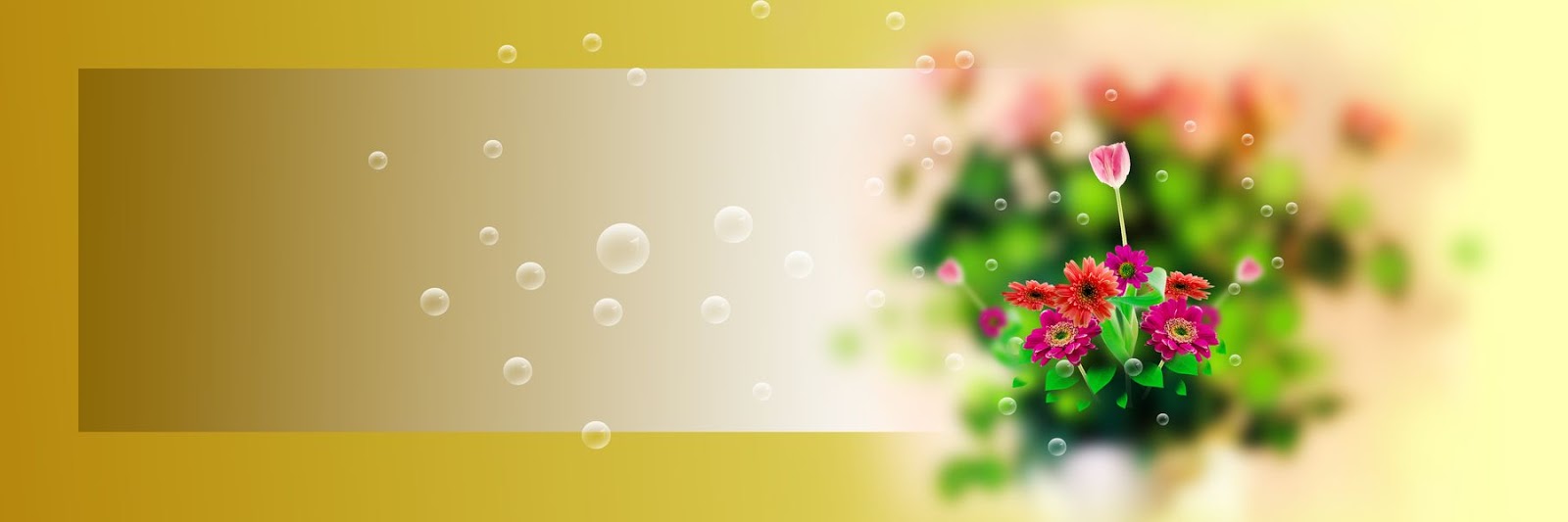 8x24 Glorious Designing Backgrounds